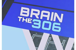 Brain The 306