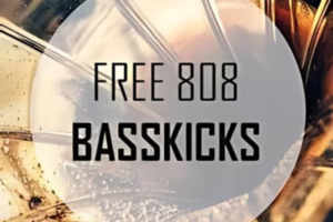 Free 808 Basskicks