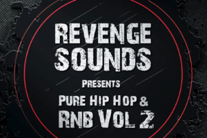 RevengeSounds Pure Hip Hop & RnB Vol.2