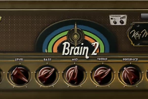 Brain 2