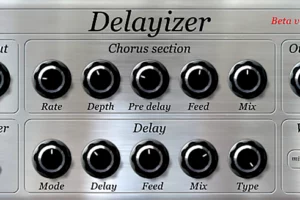 Delayizer