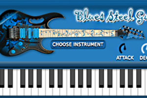 FS Blues Steel Guitar