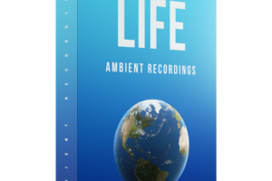 LIFE – Ambient Recordings Part 2