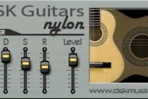 DSK Guitars Nylon