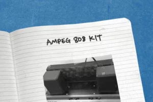 Ampeg 808 Kit