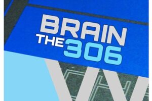 Brain The 306
