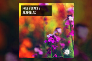 Free Vocals & Acapellas 2020