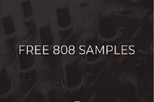 808 Samples