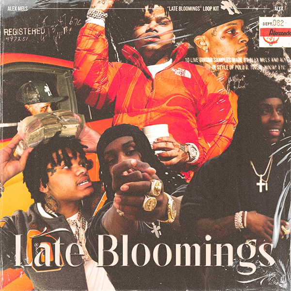 Late Bloomings cover artwork